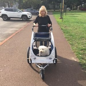 Meet your Posher, Phil